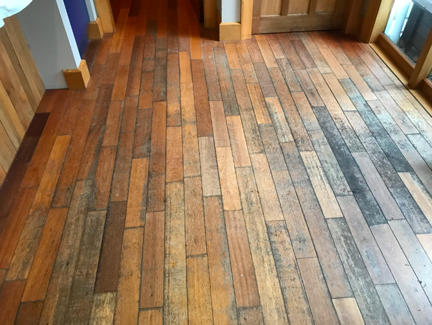 Worn timber floorboards before sanding hardwood floors